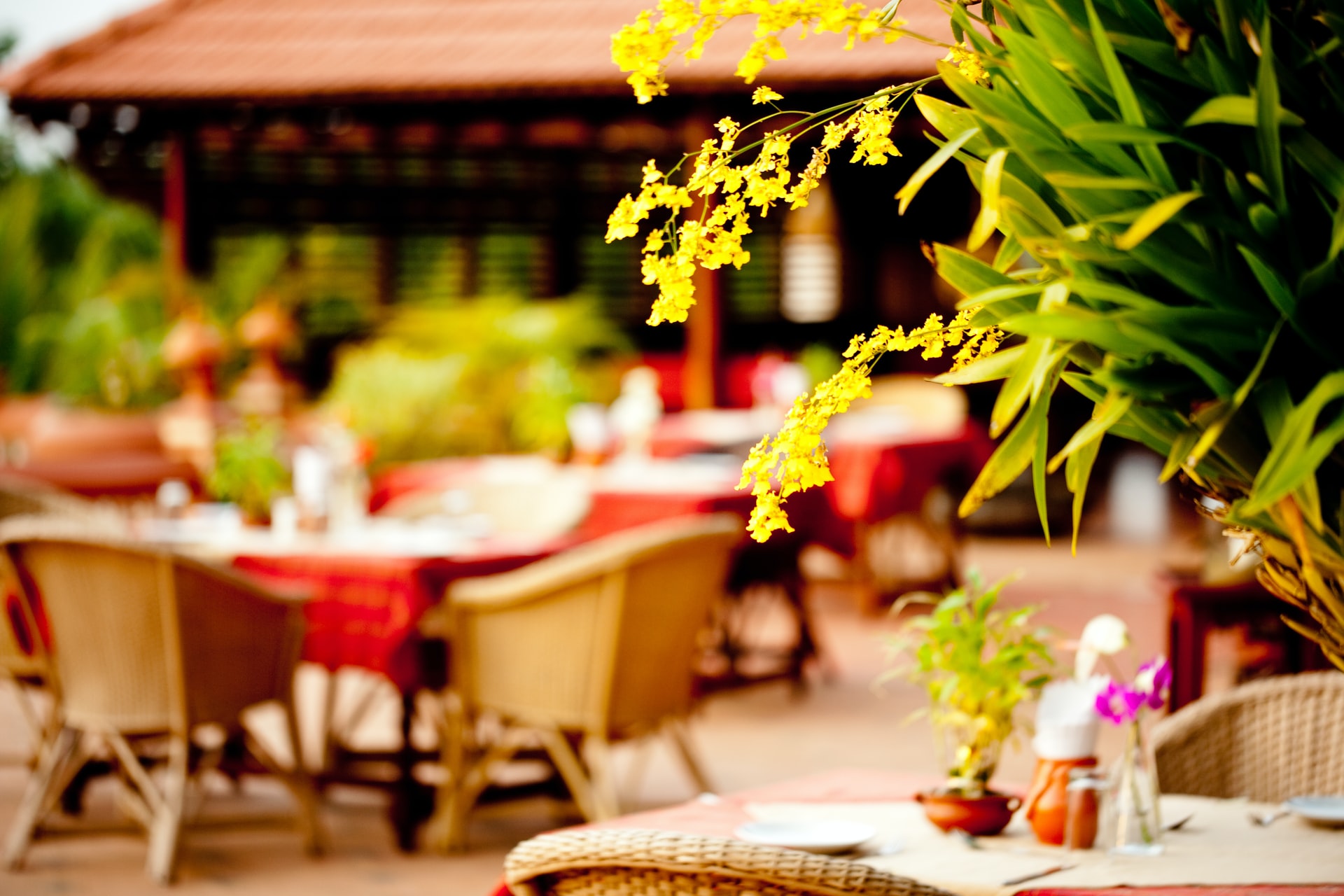 3 Ways to Maintain and Expand Your Hawaiian Restaurant